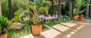 20.000 M ² FINCA WITH VILLA, GARAGE, POOL AND TWO BUSINESS OPERATIONS: HOLIDAY RENTAL AND AVOCADO FARM