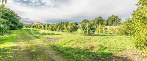 20.000 M ² FINCA WITH VILLA, GARAGE, POOL AND TWO BUSINESS OPERATIONS: HOLIDAY RENTAL AND AVOCADO FARM