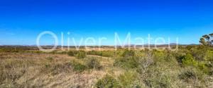RUSTIC PROPERTY OF 120,000M² BUILDABLE