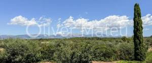VILLA WITH HOLIDAY RENTAL LICENSE, TWO GUEST HOUSES AND HORSE STABLES