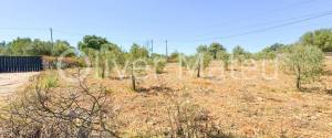 VILLA WITH HOLIDAY RENTAL LICENSE, TWO GUEST HOUSES AND HORSE STABLES