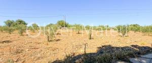 VILLA WITH HOLIDAY RENTAL LICENSE, TWO GUEST HOUSES AND HORSE STABLES