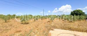 VILLA WITH HOLIDAY RENTAL LICENSE, TWO GUEST HOUSES AND HORSE STABLES