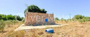 VILLA WITH HOLIDAY RENTAL LICENSE, TWO GUEST HOUSES AND HORSE STABLES