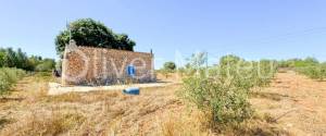 VILLA WITH HOLIDAY RENTAL LICENSE, TWO GUEST HOUSES AND HORSE STABLES