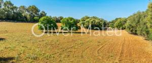 COUNTRY ESTATE IN LLORET DE VISTALEGRE