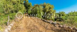 COUNTRY ESTATE IN LLORET DE VISTALEGRE