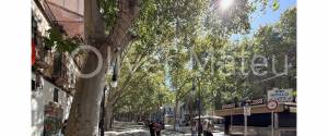 GROUND FLOOR TO RENOVATE IN THE HEART OF THE OLD TOWN