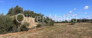 SOLAR MAS PROYECTO EDIFICACIÓN CHALET EN LLUCMAJOR