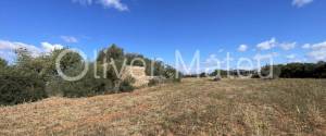 SOLAR MAS PROYECTO EDIFICACIÓN CHALET EN LLUCMAJOR